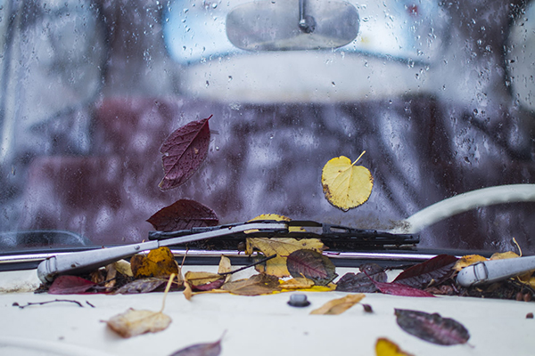 杜甫 《雨》